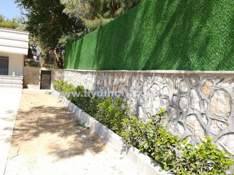 Service Image